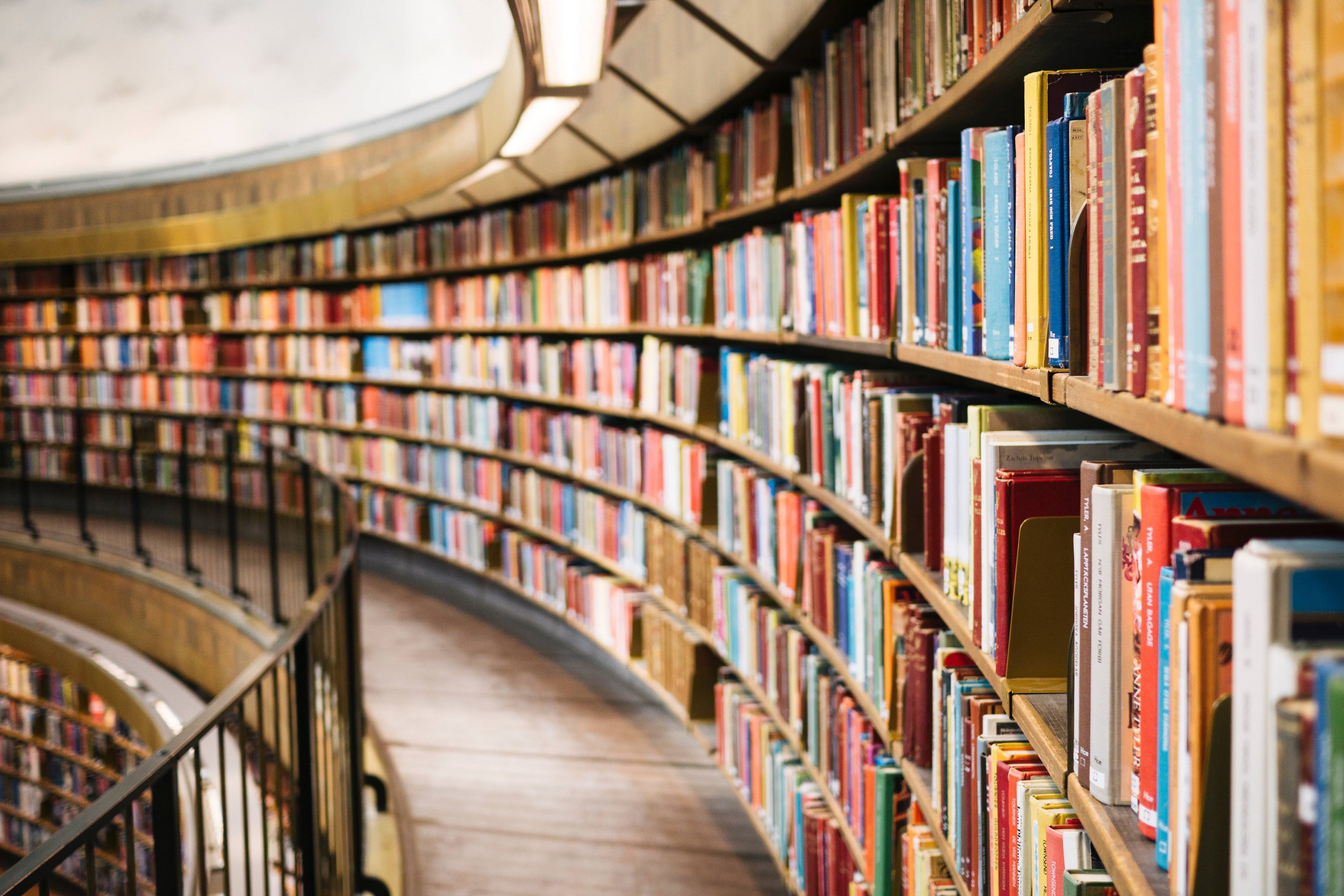 The Critical Need for Business Education